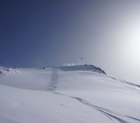 heliskiing-italien