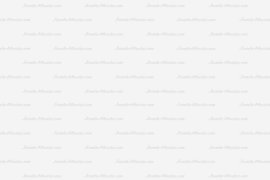picjumbo.com_14730949876_eb02640a60_o