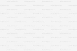 picjumbo.com_HNCK7388